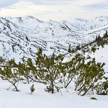 Ganswoanders - Deine Kleine Oase Am Traunsee * Gmunden
