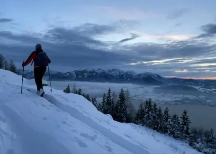 Ganswoanders - Deine Kleine Oase Am Traunsee Appartamento