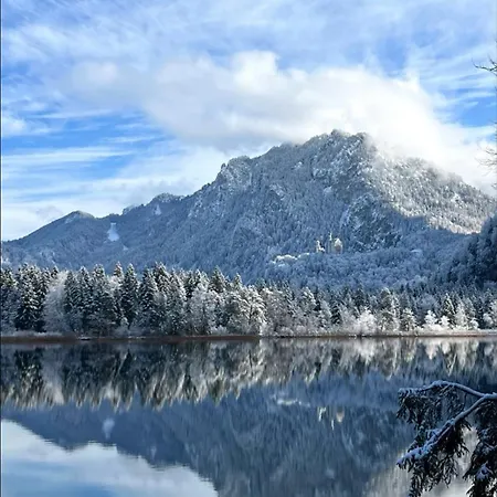 Daire Ganswoanders - Deine Kleine Oase Am Traunsee