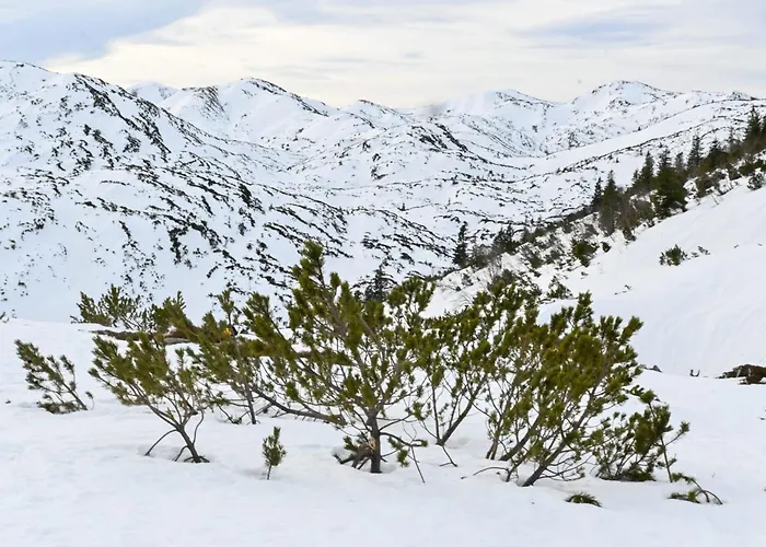 Ganswoanders - Deine Kleine Oase Am Traunsee * غموندين