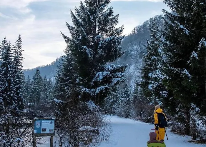 Ganswoanders - Deine Kleine Oase Am Traunsee *